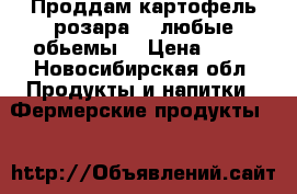 Проддам картофель розара 5 .любые обьемы. › Цена ­ 15 - Новосибирская обл. Продукты и напитки » Фермерские продукты   